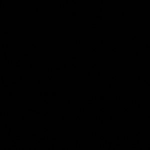 Meet your Posher, Bailey